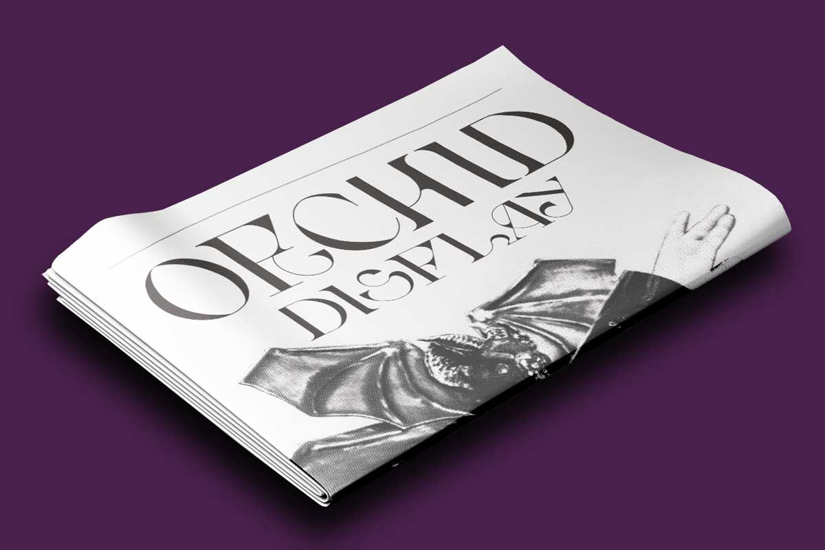 orchid0